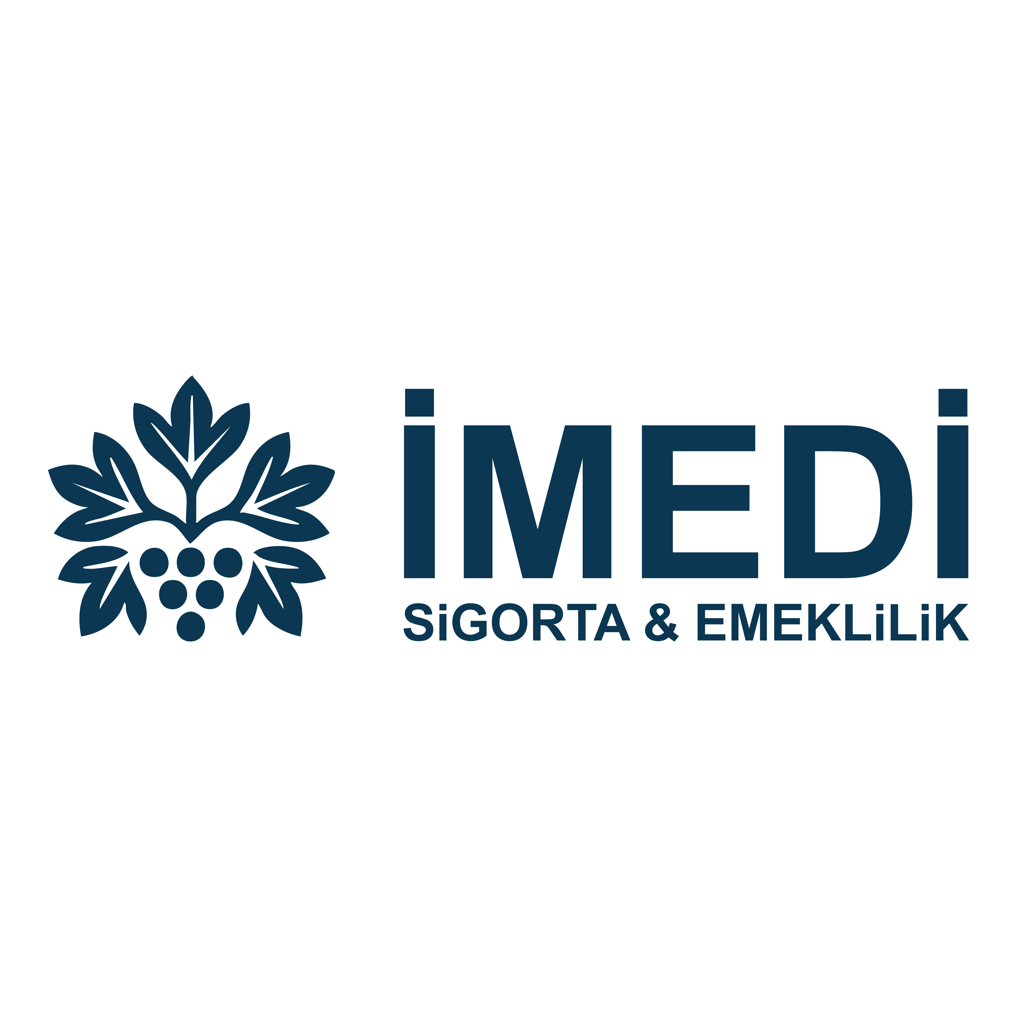 İmedi Logo
